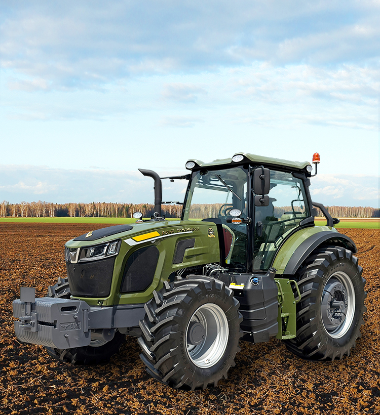 img15 of cate in cate